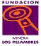 Fundaci�n minera Los Pelambres